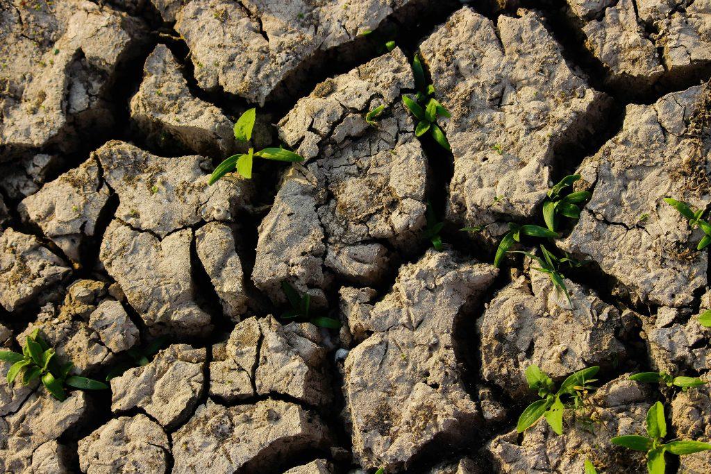 Diagnostic pollution des sols en Bretagne (Rennes, Saint-Brieuc…) : êtes-vous concerné ?